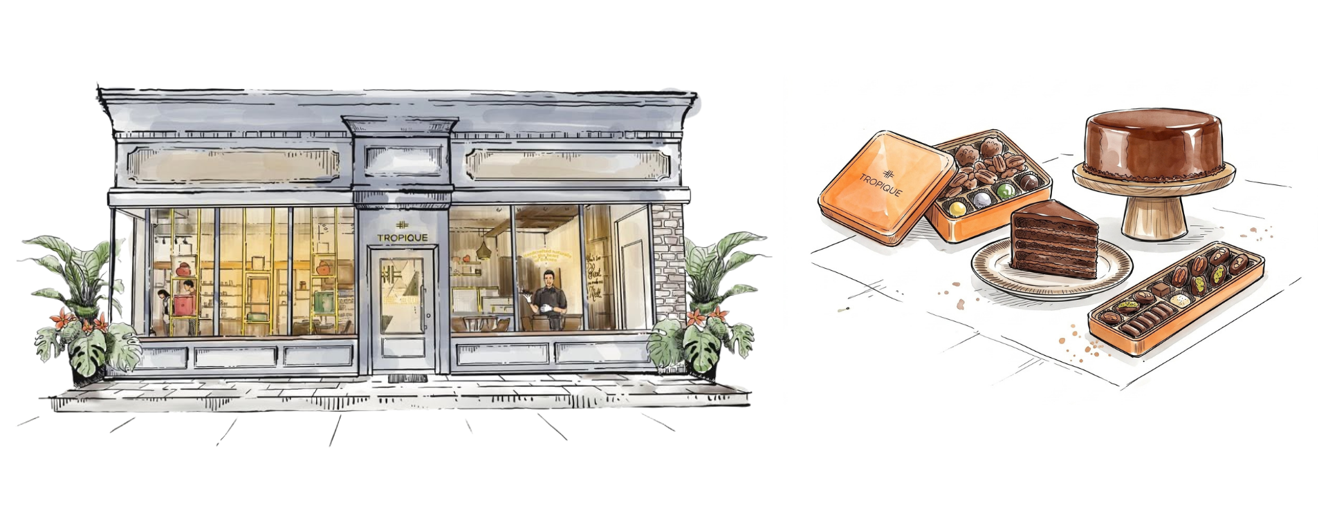 Tropique Chocolatier Artwork